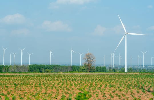 Row or stack of windmill or wind turbine in the field look like farm in area of green power plant and no people.