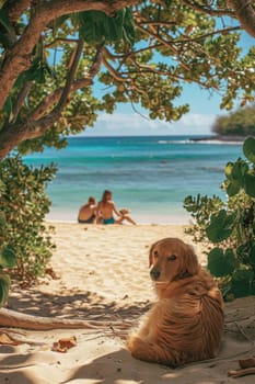 Dog pet rests in the share of an idyllic beach during vacations while people relax in the sand on the background.