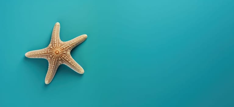 Tropical Summer Getaway: A Vibrant Collection of Colorful Marine Life on a White Sand Beach with Starfish, Shells, and Exotic Fish Framed Against a Bright Blue Ocean Background