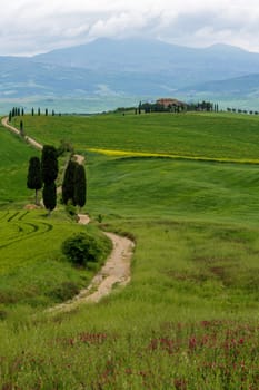 Path to hill house through cypress trees and sunrise view of stunning rural landscape of Tuscany, Italy