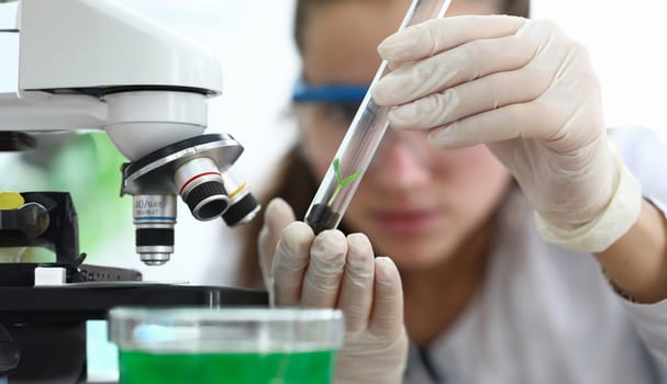 Woman in laboratory looks at soil with sprout. Agronomist creates routes for proper growth selected crops. Laboratory enterprise analyzes soil. Soil sampling for chemical analysis and pH test