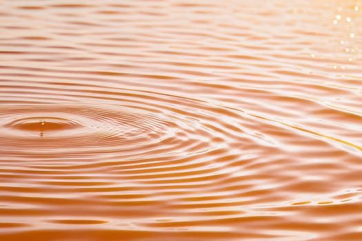 Circles and waves on peach-colored water in sunlight Abstract natural background. Demonstrating the colors of 2024 - Peach Fuzz