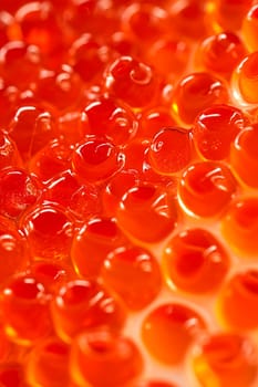 red caviar close-up. Selective focus. food.