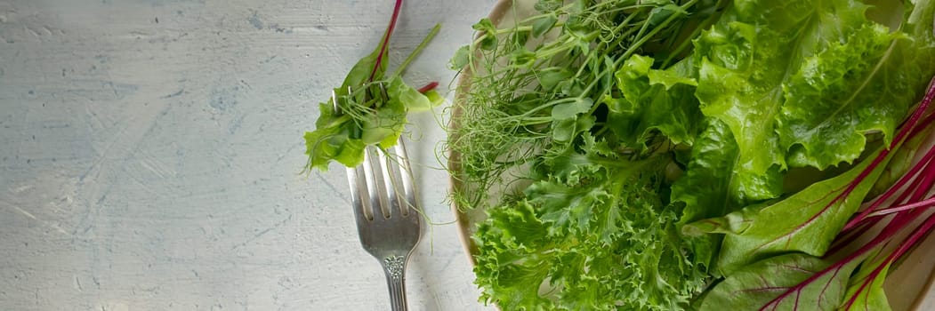 banner with top view on mix of salads in a plate and a fork on wite table. Young juicy sprouts of peas or beans, beet shoots and green salad. healthy food concept. flat lay Soft focus