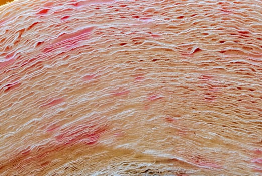 Detailed Close-up of a roll of soft toilet paper. 