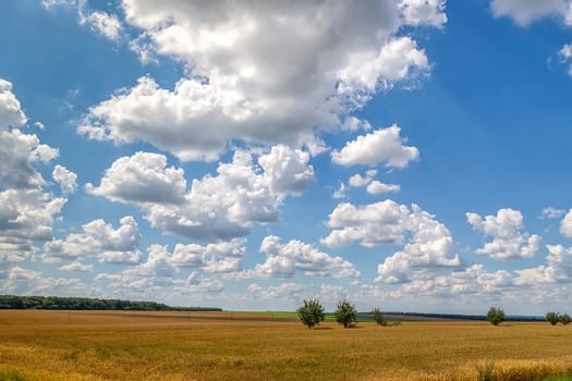 a wide scene with beautiful clouds over the field