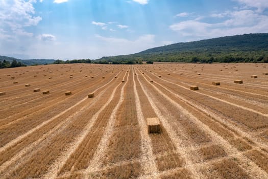Scenic view of hay bales on the field after harvest.