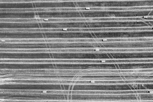 Aerial drone view of the mown field with scattered hay bales and tractor traces