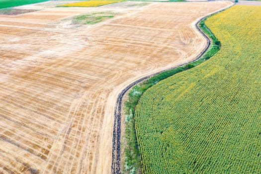 Abstract view of a field separated by a green border