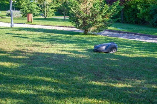 Lawn robot mows the lawn. Robotic Lawn Mower cutting grass