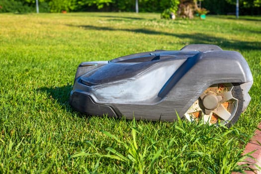 Lawn robot mows the lawn. Robotic Lawn Mower cutting grass