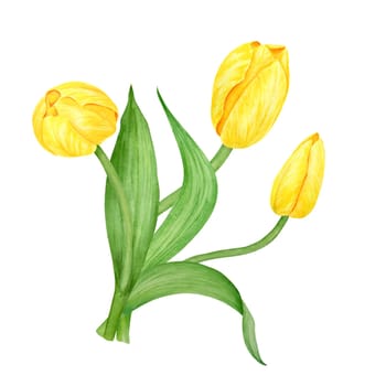 Yellow tulip. Watercolor hand drawn illustration of spring symbol, golden flower. Clip art for Easter, Mothers Day, Womens Day, March 8 cards, wedding, farmer and floristic prints, travelbooks, packing