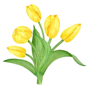 Yellow tulip. Watercolor hand drawn illustration of spring symbol, golden flower. Clip art for Easter, Mothers Day, Womens Day, March 8 cards, wedding, farmer and floristic prints, travelbooks, packing