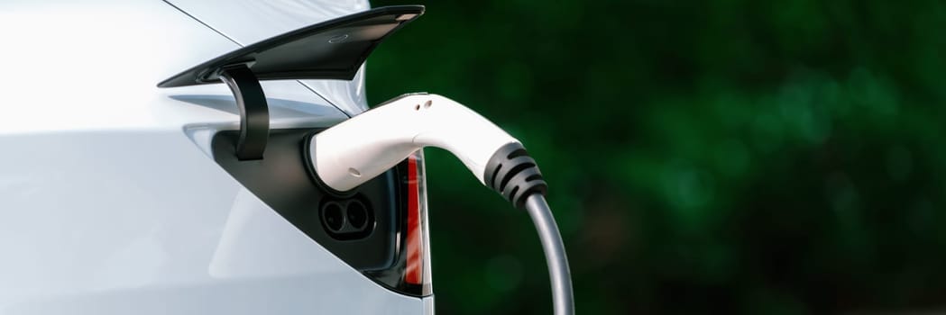 Closeup EV charger plug handle attached to electric vehicle port, recharging battery from charging station. Modern designed EV car and clean energy sustainability for better future.Panorama Synchronos