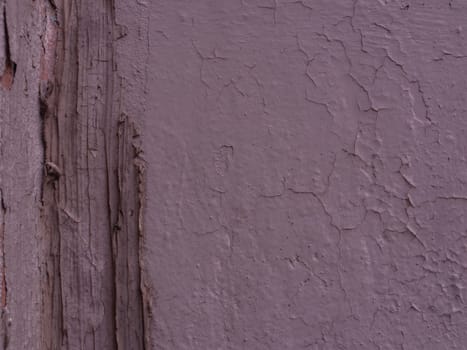 Old damaged plaster texture on wall.. Lilac wall in close-up.