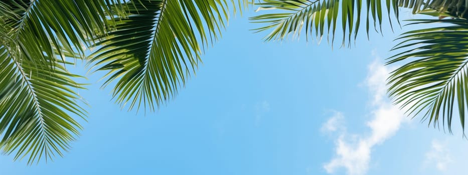 Palm leaf against the sky on tropical island. selective focus. nature. Generative AI,