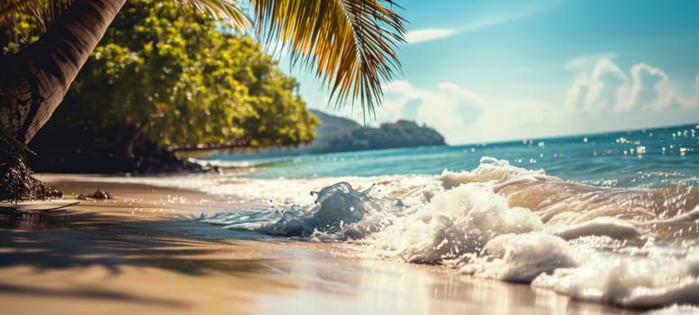 Sunlight glistens on waves at a tropical beach with palm overhang