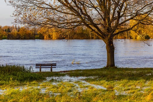 Flood at the river Rhine with bench in the water in sunshine in fall, Gernsheim, Germany