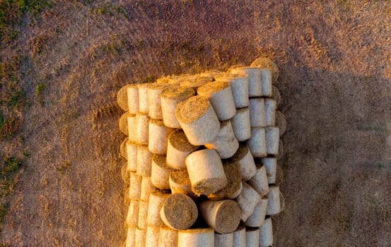 Many bales of compressed dry wheat straw, twisted into round rolls, on field on autumn summer evening morning during sunset dawn. Aerial drone view. Concept agricultural activities, agrarian industry