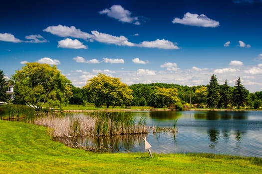 View of a Tranquil Pond During a Summer Day, Ohio