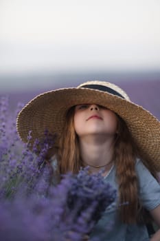 Girl lavender field in a blue dress with flowing hair in a hat stands in a lilac lavender field.