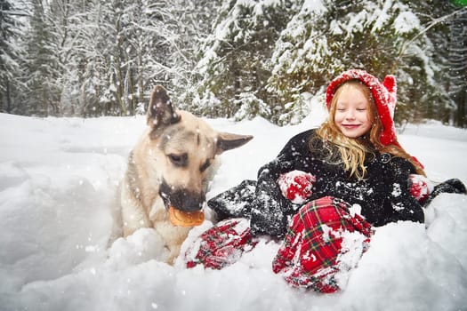 Cute little girl in red cap or hat and black coat with basket of green fir branches treats with pie of big dog shepherd as wolf in snow forest on cold winter day. Fun and fairytale on photo shoot