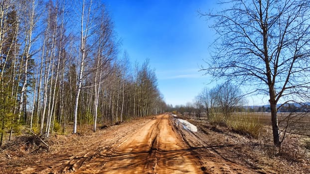 Dry dirt clay rural road in a field, stretching to the horizon in early spring. Rustic landscape