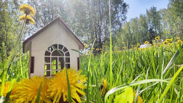 miniature toy house in grass and dandelion flowers, spring natural background. symbol of family. mortgage, construction, rental, property concept. Eco Friendly home. Blurred and selective focus