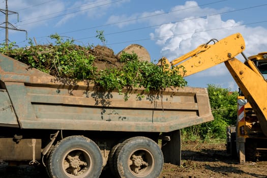 Excavator's powerful bucket dumps bushes and trees onto trailer. Clearing construction sites.