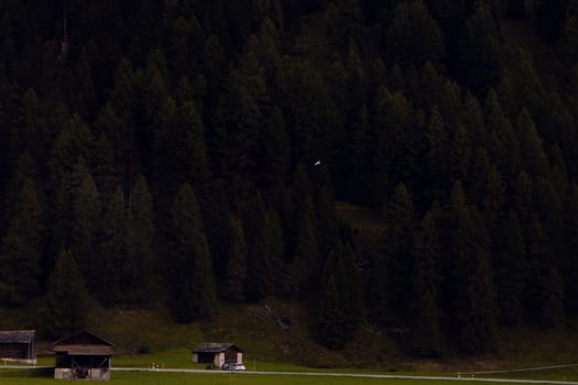 Secluded Retreat: Rustic Cabins at the Edge of an Alpine Forest, Embracing the Quietude of Nature. High quality photo