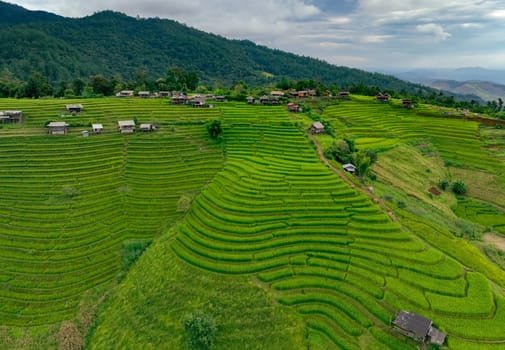 Landscape of green rice terraces amidst mountain agriculture. Travel destinations in Chiangmai, Thailand. Terraced rice fields. Traditional farming. Asian food. Thailand tourism. Nature landscape.