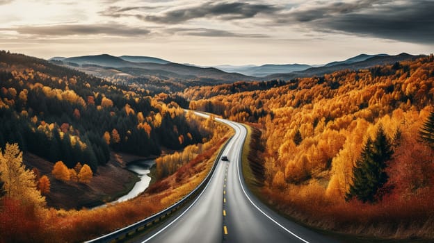 Aerial view of thick forest in autumn with curvy Road. High quality photo