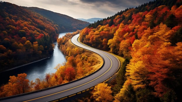 Aerial view of thick forest in autumn with curvy Road. High quality photo