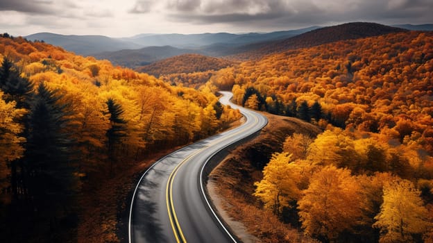 Scenic aerial view of a road passing through the colorful forest at fall. High quality photo