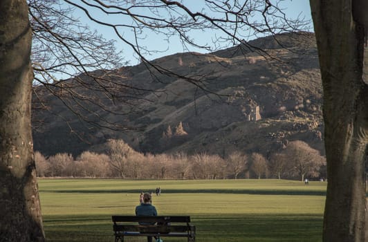 Edinburgh, Scotland-Jan 17, 2024 - A young woman is resting on bench in the shade of tree in the sunny warm day in green park. Lifestyle concept, Space for text, Selective focus.