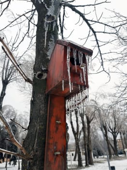Bird house in winter covered with ice icicles on an old tree.