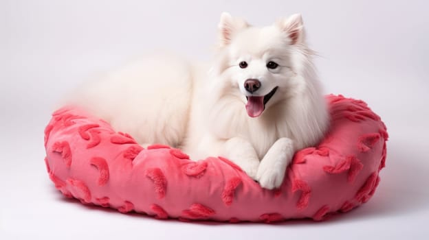 Cute puppy sleeping peacefully on soft yellow bed. Small dog is resting at home.