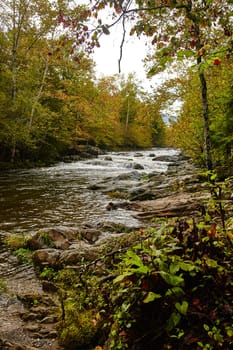 Vibrant Autumn Foliage Surrounding a Cascading River in Gatlinburg, Tennessee, 2015