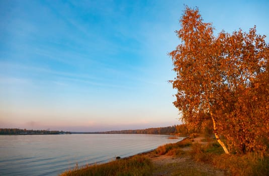 Colorful autumn landscape with birch grove with golden foliage on the shore of the lake and beautiful reflections at sunset. High quality photo