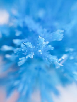 Radiant crystals grown at home. Chemical experience for children.