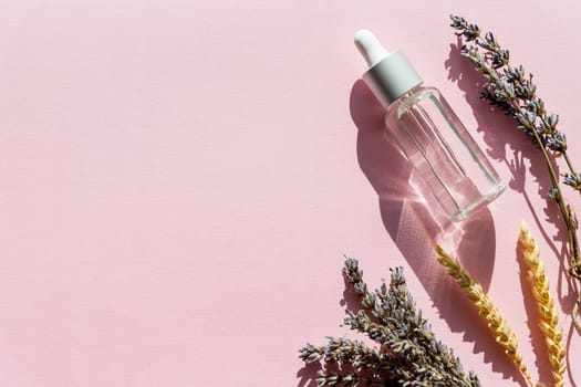 Bottle with aroma oil and lavender flowers isolated on pink background