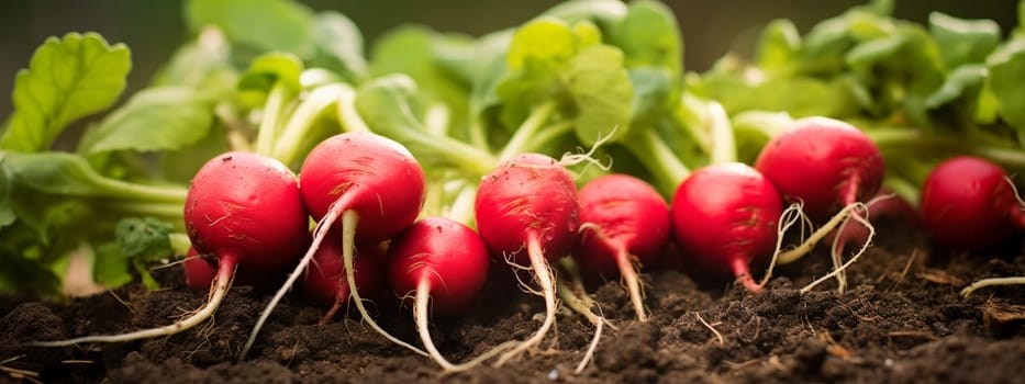 Radishes growing in the garden. selective focus. Food Generative AI,