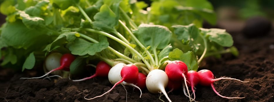 Radishes growing in the garden. selective focus. Food Generative AI,