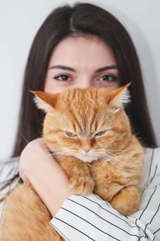 Portrait of one beautiful young Caucasian brunette with brown eyes, long and straight hair in a classic striped jacket holding in her arms a red purebred cat with a dissatisfied emotion against the background of a white wall in a room, close-up side view with depth of field.