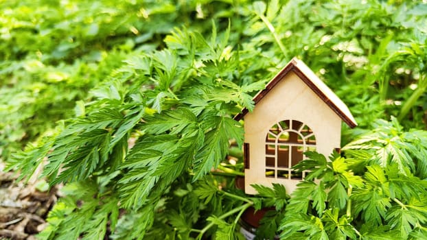 Miniature toy house in grass close up, spring natural background. symbol of family. mortgage, construction, rental concept. Eco Friendly home. template for design, Blurred and selective focus