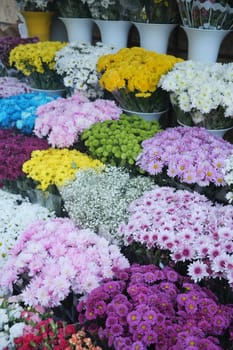 flower shop in istanbul, flower display for selling at street shop