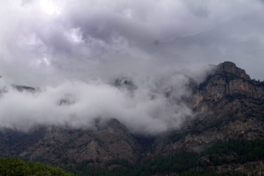 thick fog and clouds in the mountains close up