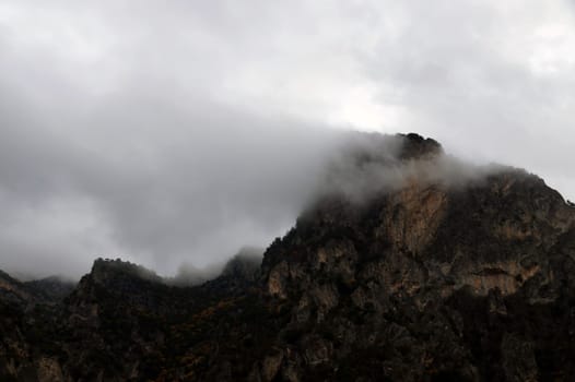 thick fog and clouds in the mountains close up