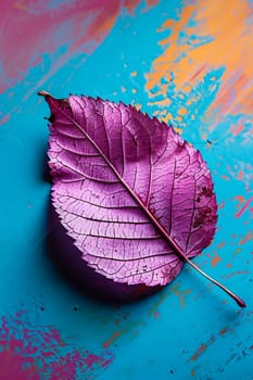 Purple leaf on a blue background. Selective focus. nature.