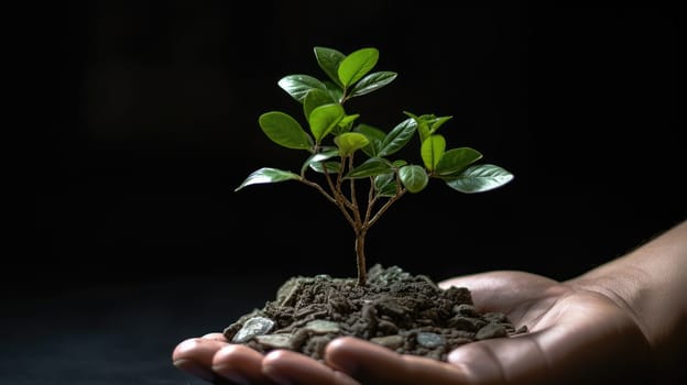 Sapling Flourishes Above Hand Grasping Silver Coins. Creative Green Business Ideas for Finance and Investment. Symbolic Image Representing Carbon Credits and Eco-Friendly Taxation Strategies